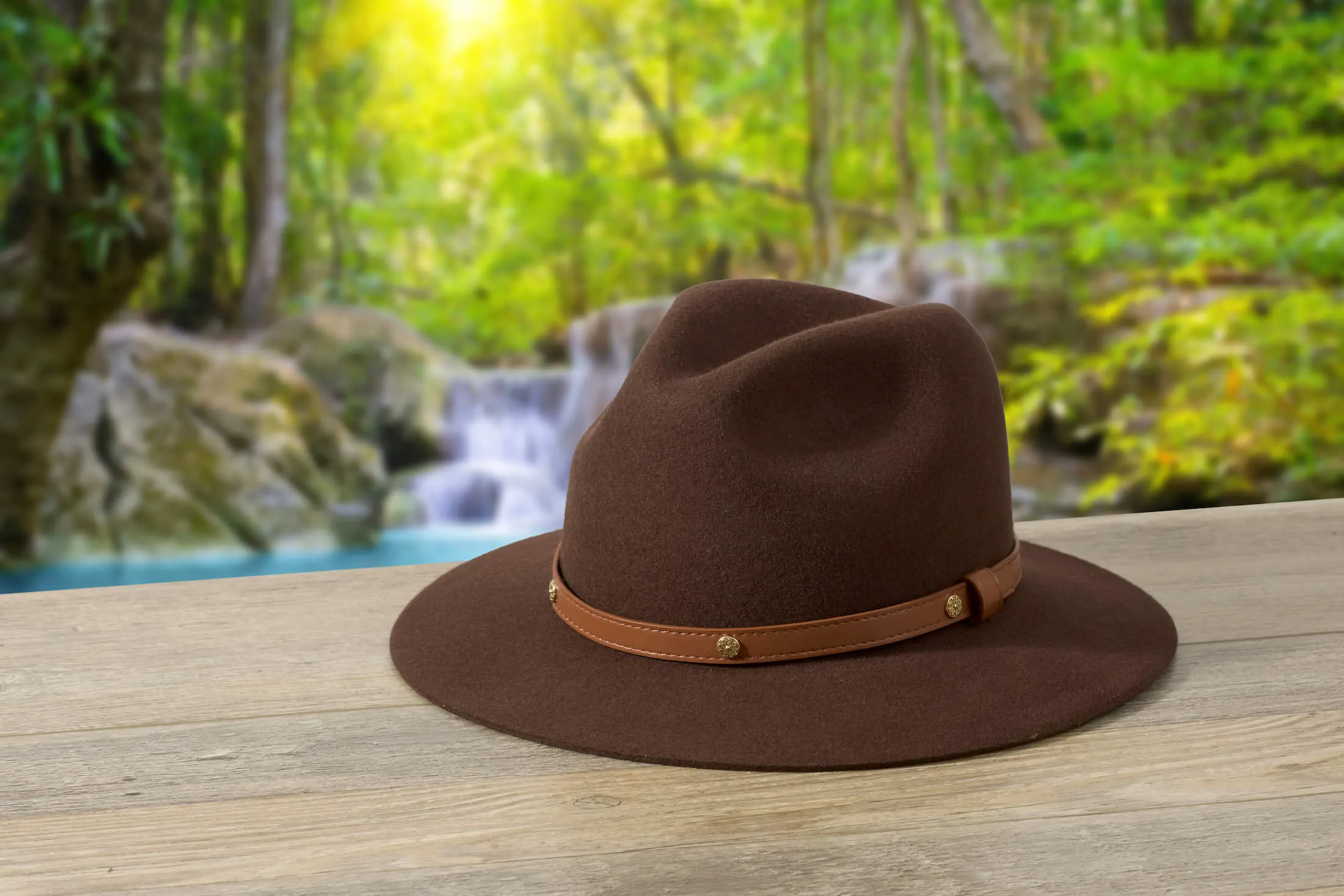 Brown Safari