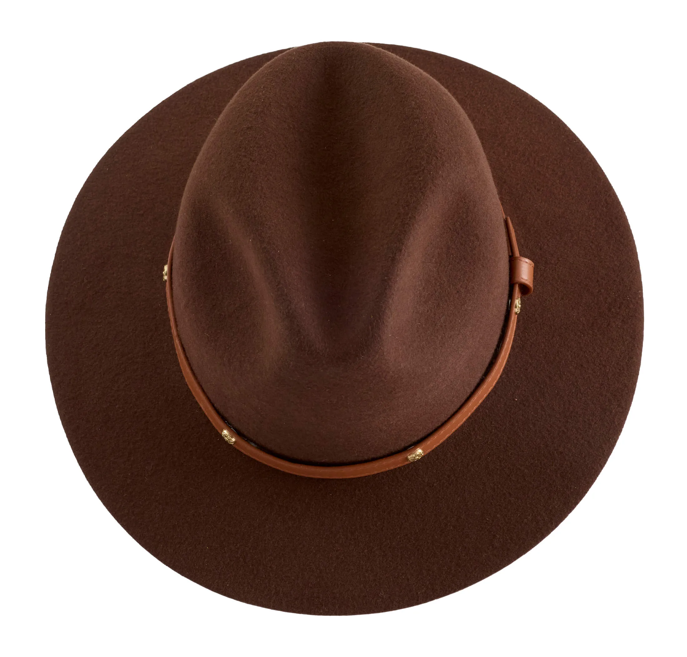 Brown Safari