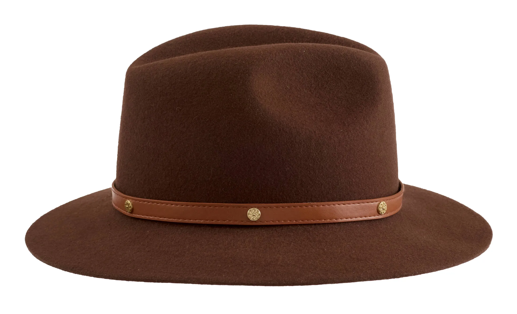 Brown Safari