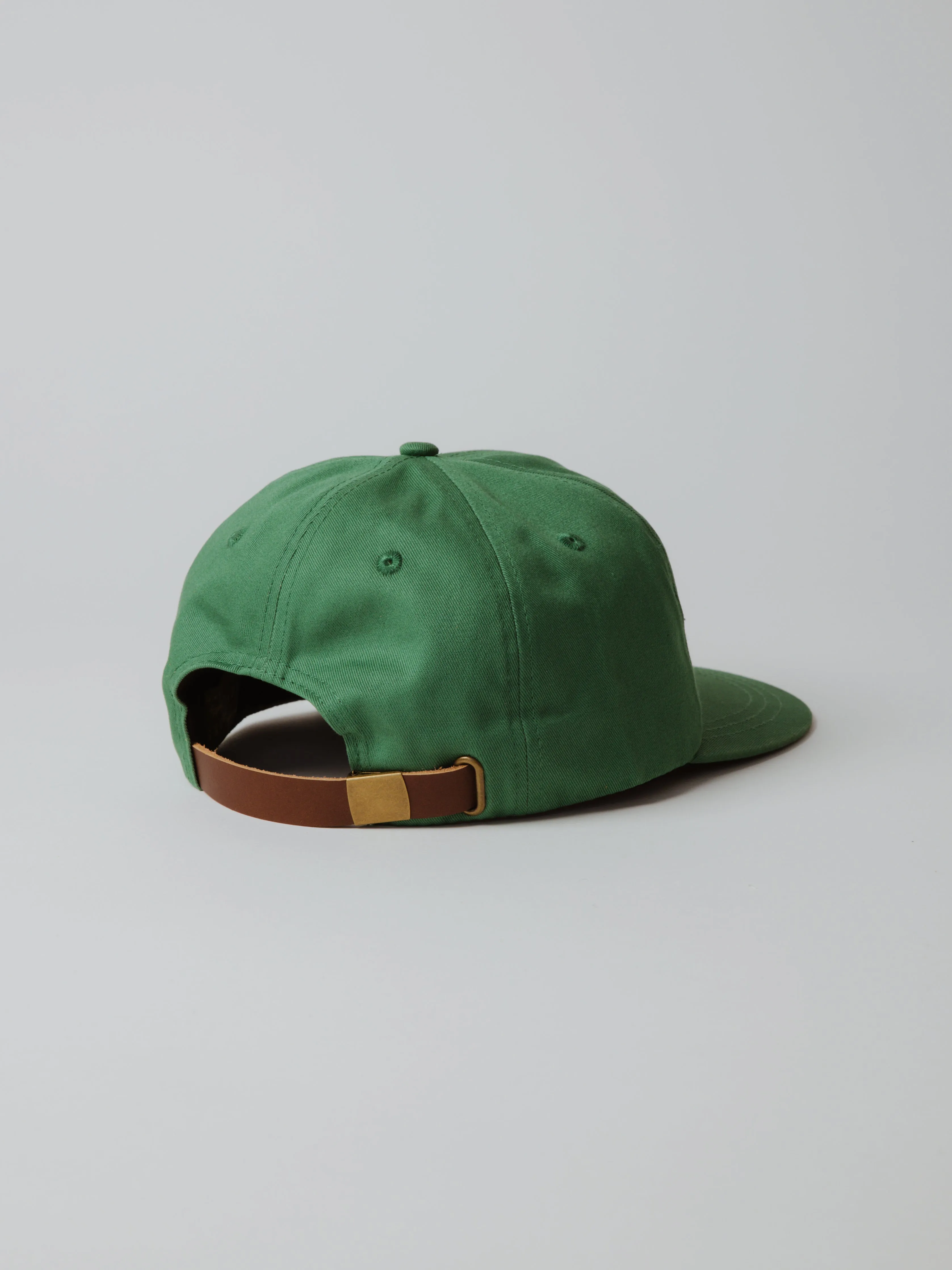 Geese Six-Panel - Green