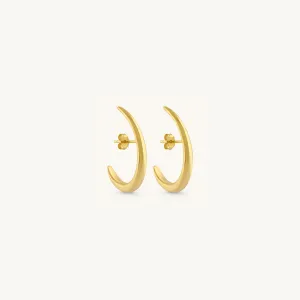 Hook Earrings