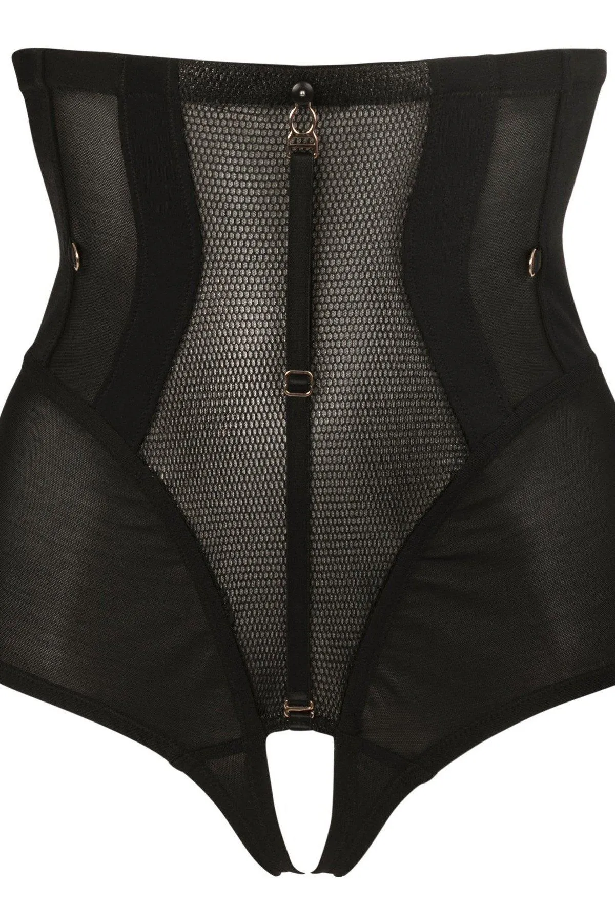 Josephine Mesh Fetish Briefs