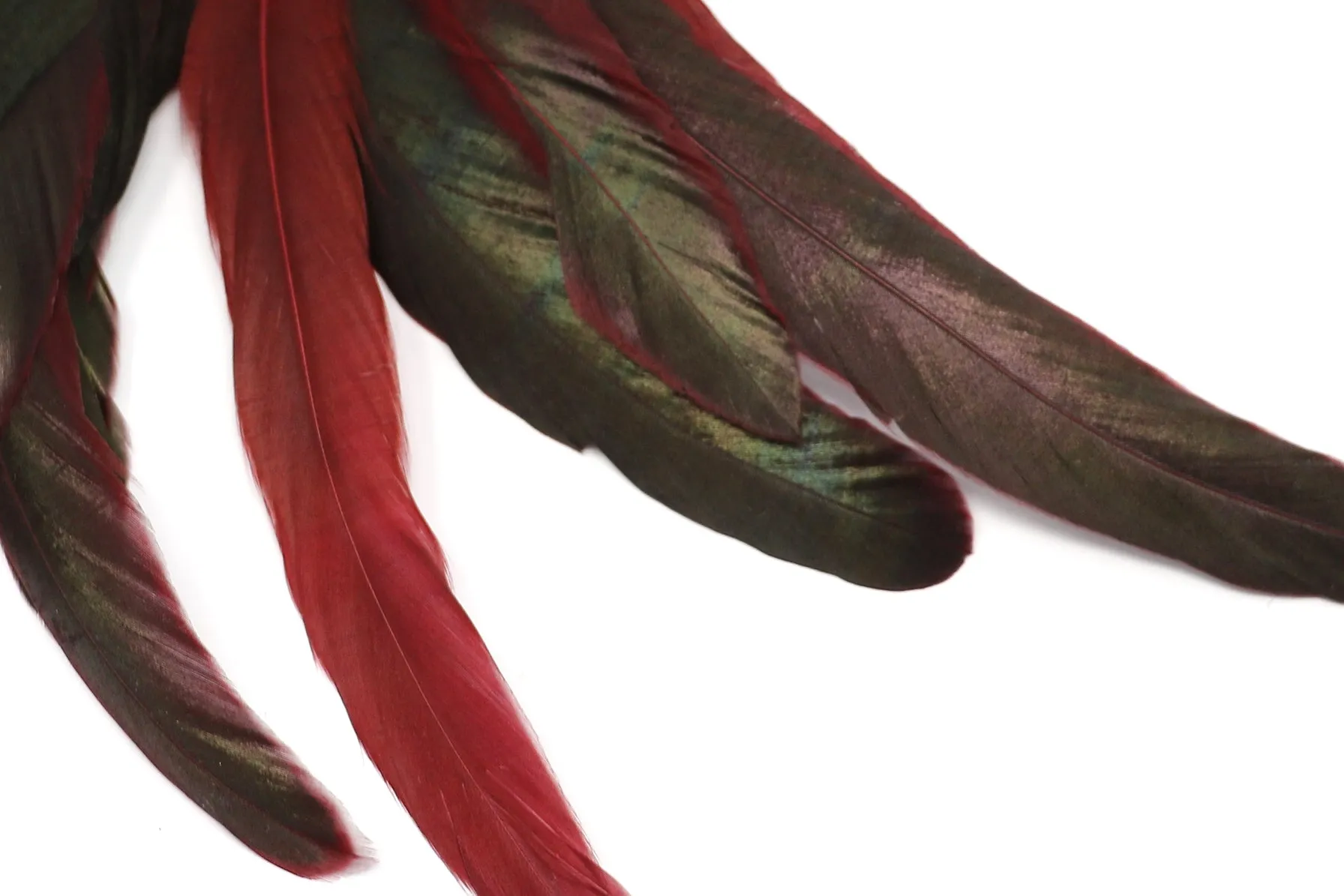 Mya Lambrecht Multicolor Feather Earrings